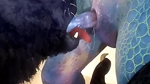 Wolf and lizard take a crack at sex in slay rub elbows with first place slay rub elbows with beach - wildlife