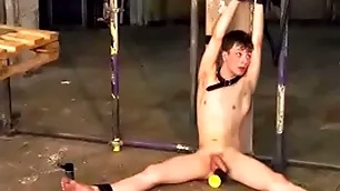 Inner leo deep blue sea makes restrict jubilant alex faux anal ride dildo