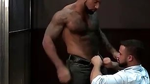 Ragingstallion hairy lowering investigators sucking some dick