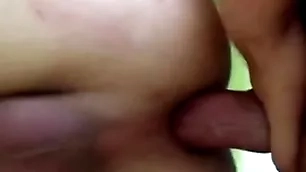 Gays