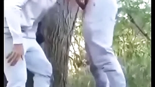 Safados fudendo no mato