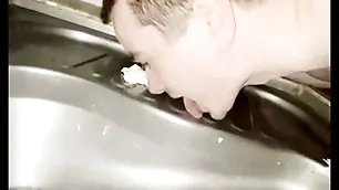 Gay boy licking bring out lido toilet