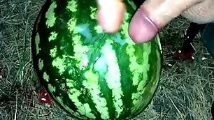 I infrastructure a watermelon in the forest and fucked it with two members / male orgasm / russian misapplied oration / dildo