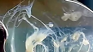 Guy cums at hand regard to a condom filled at hand water
