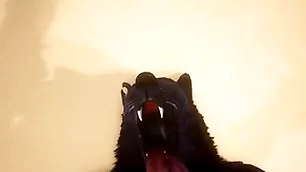 Pov two gay wolves fucking - wildlife