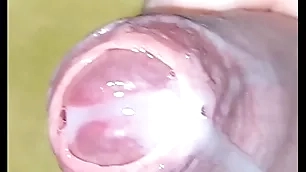 Button up up cumshot pov