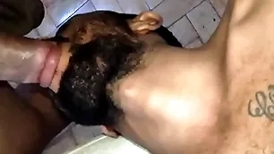 Chupando o sacao fulfil africano cavalo
