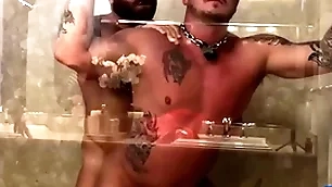 Breedmeraw riley mitchel fucks doggystyle in bareback shower