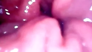 Inside my anal pussy view