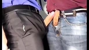 2 machos trabalhando em casa da nisso