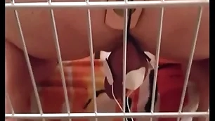 Dogslave3